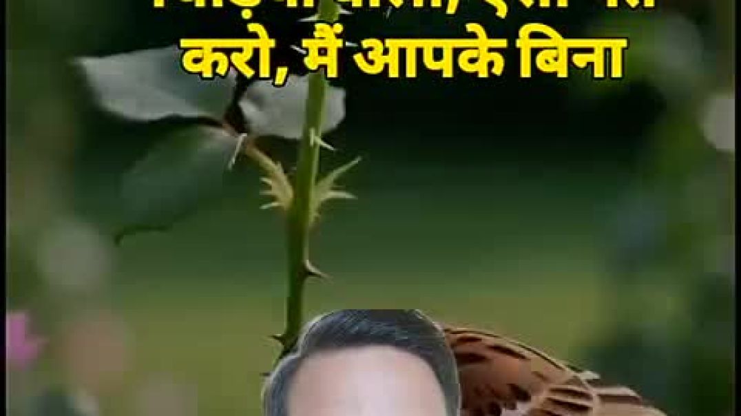 ⁣“आज का सुविचार – छोटी बात, बड़ा सबक”