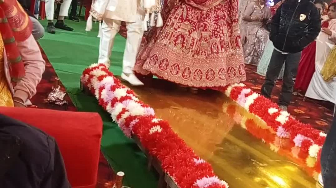 ⁣Bhai ki shadi 🥳#shorts