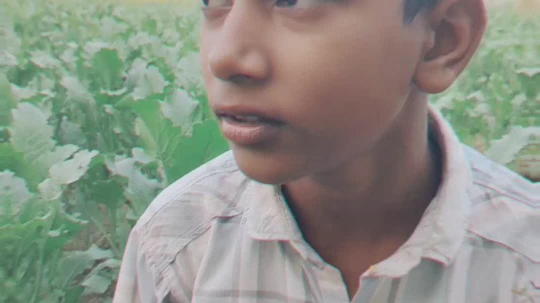 ⁣Bharat mungfali khayega