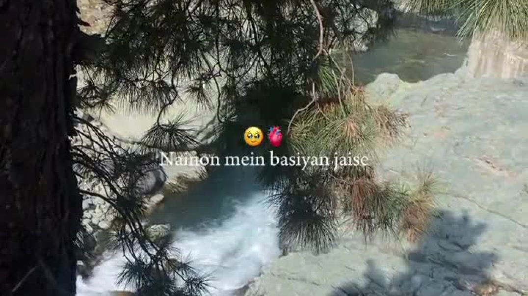 VID_20251206_161136_830