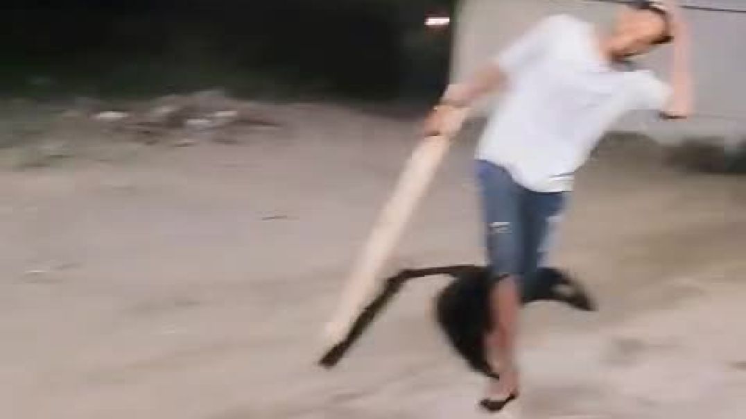 ⁣Funny comedy video 🤣🤣