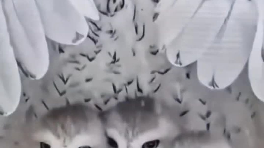 ⁣Mom can do anything to save her children