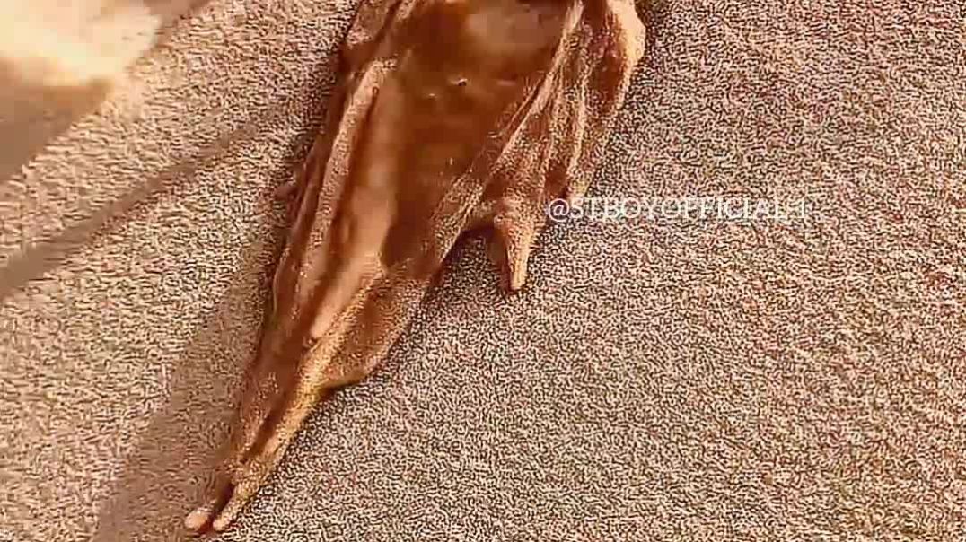 InShot_20251128_183844958