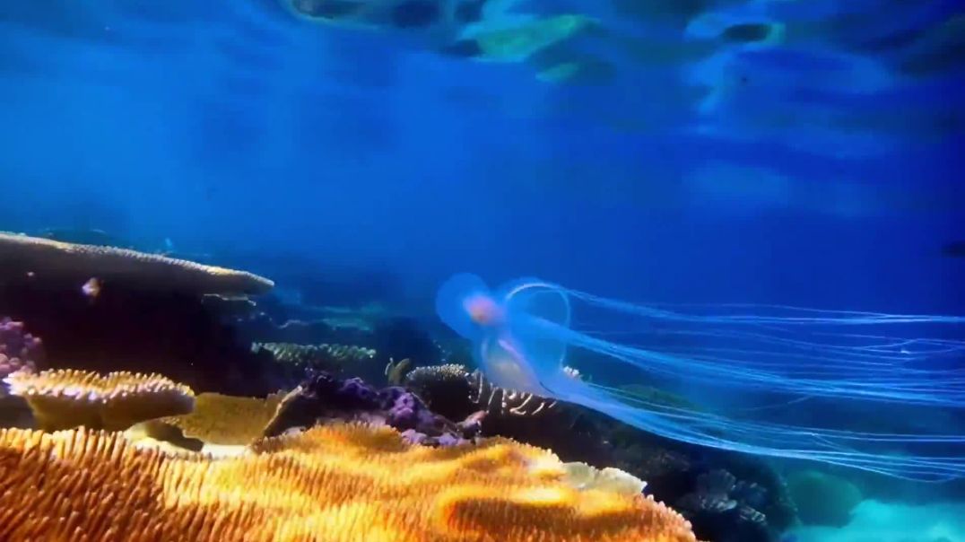 435182659-dcd16603-5bf4-4786-8e4d-1ed23889d07a