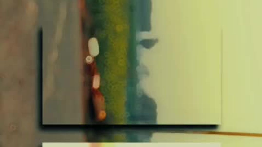 ⁣VID-20251221-WA0000