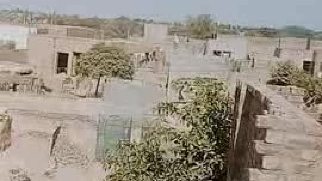 ⁣VID20251210123340[Trim][Trim][Trim][Trim][Compress]