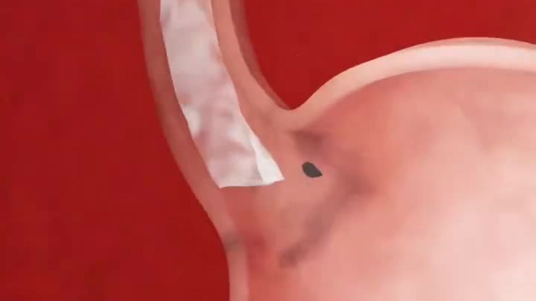 ⁣ये बात आज समझ गए तो ज़िंदगी बदल जाएगी