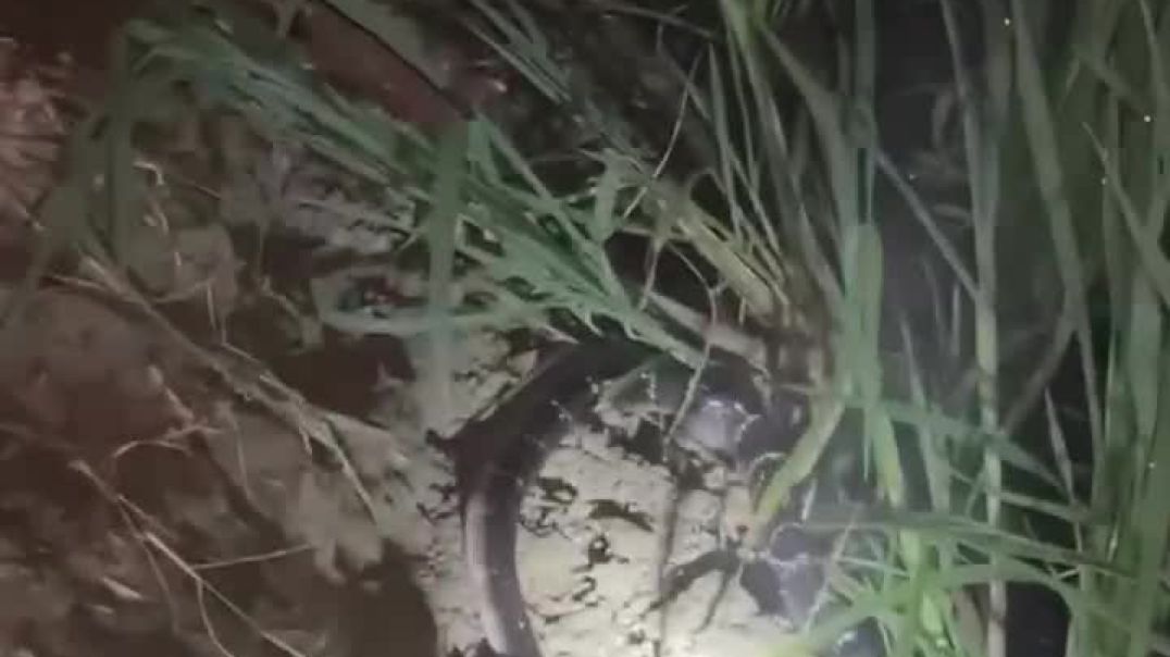 ⁣Every farmer life