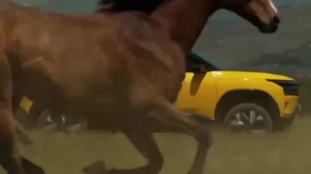 naveen_vlog_3951_DSAtYMukgKj_1765386308720_1