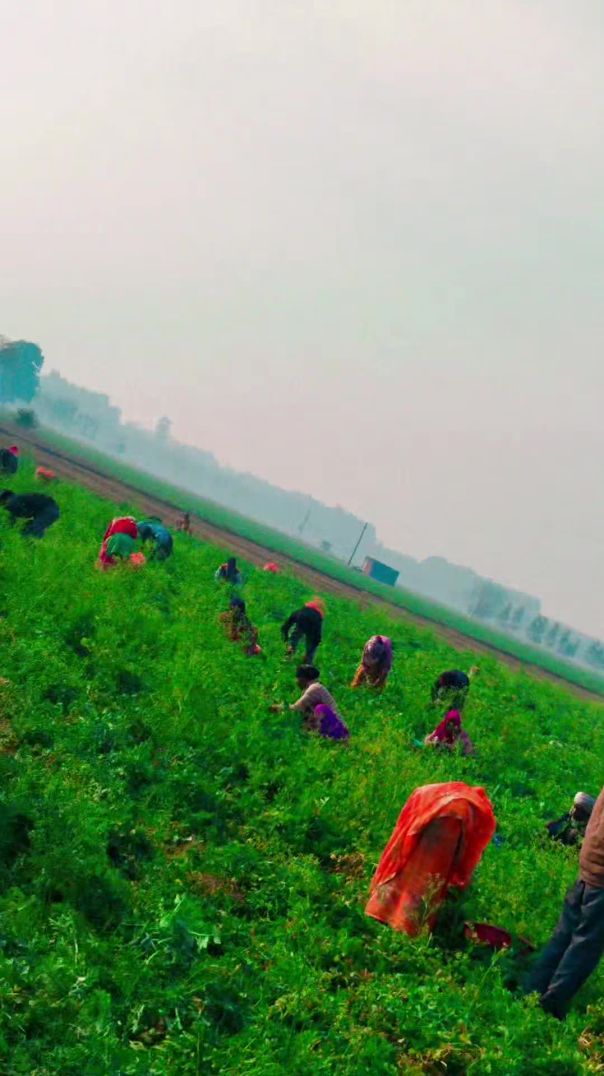 VID_20251205_203006_826