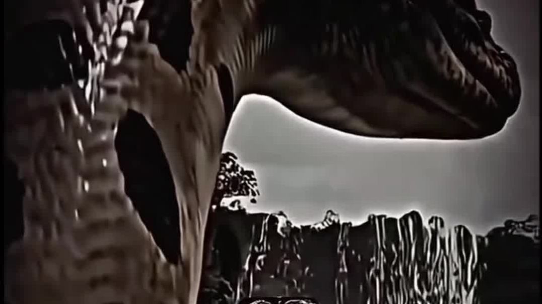 VID_20251228_000617_472