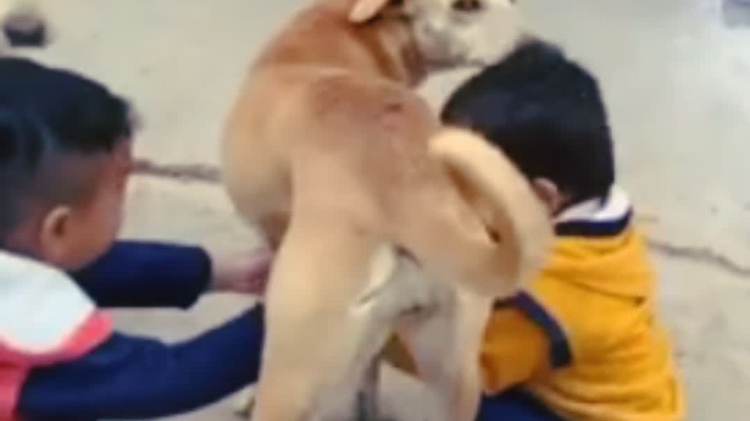 InShot_20251209_200052031