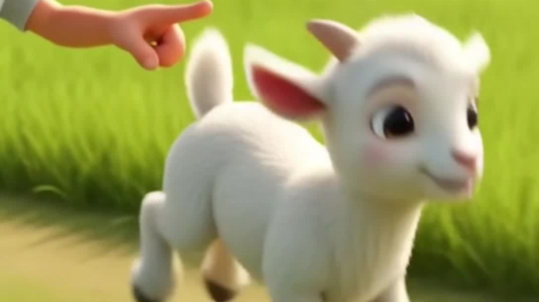 #cartoonstory #cartoonnetwork