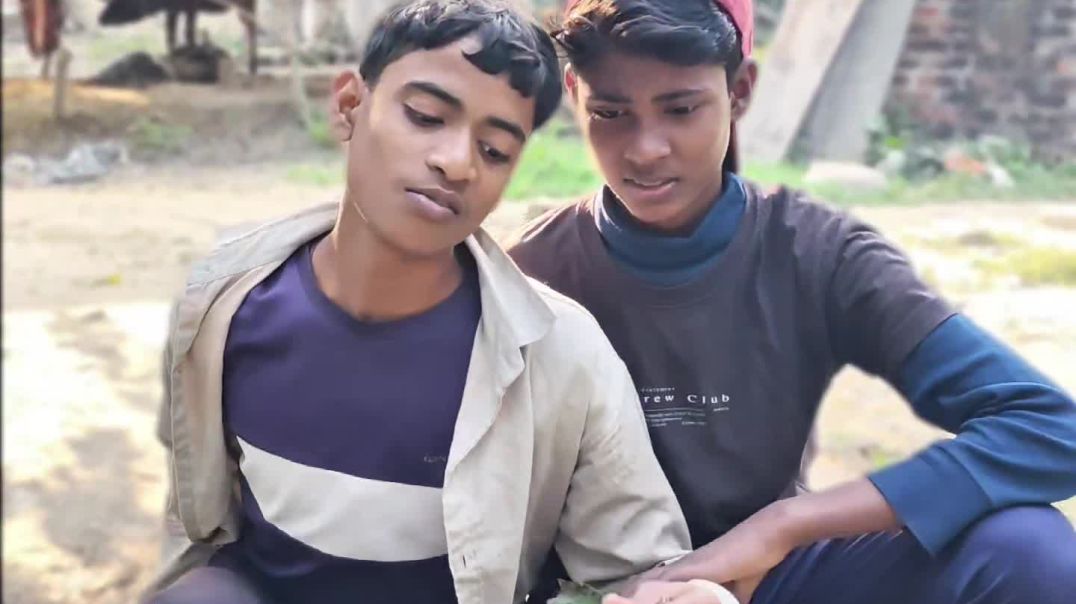 VID_20251210_173126_259_bsl