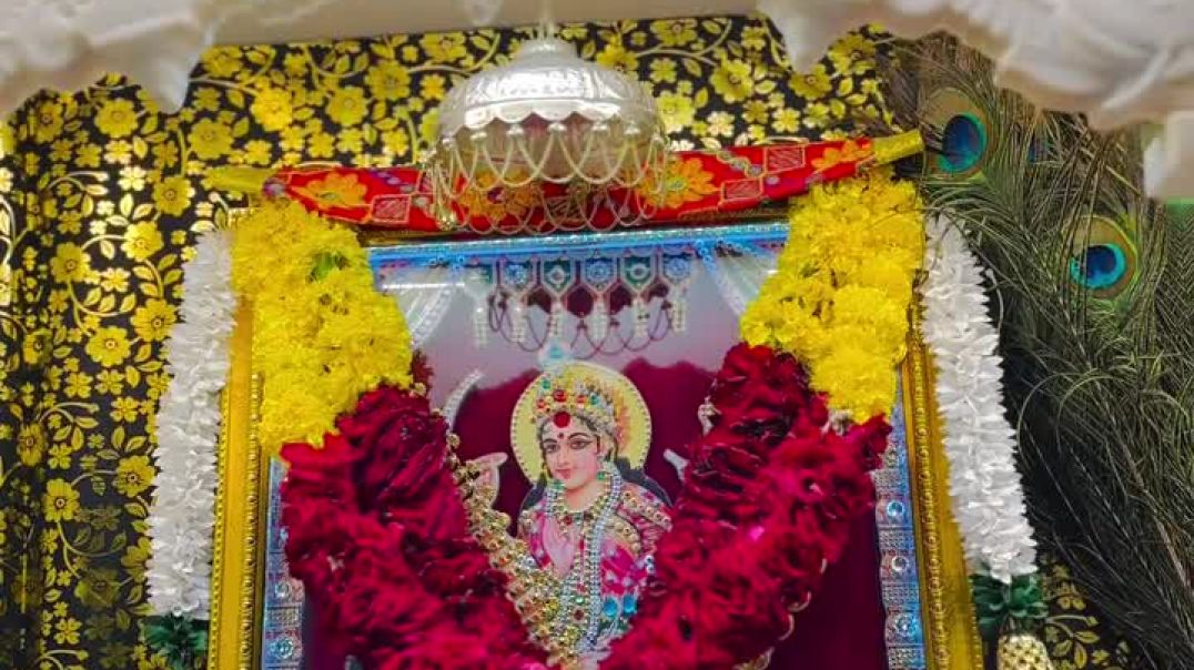 2_5323563318592436030