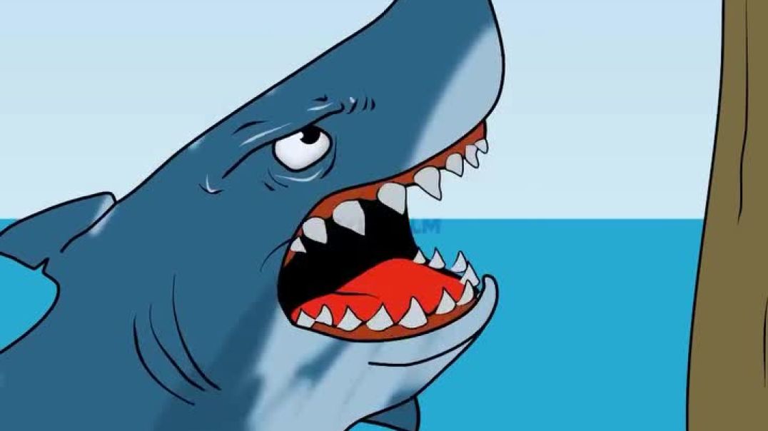 ⁣The shark is happy 😂 #cartoon #animation #fyp