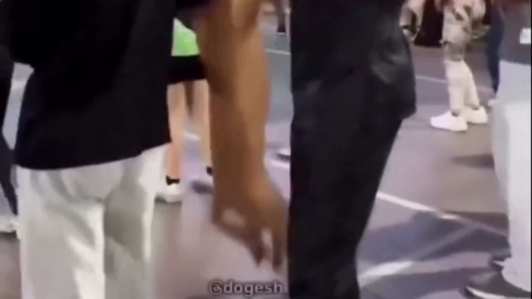 ⁣Viral funny video