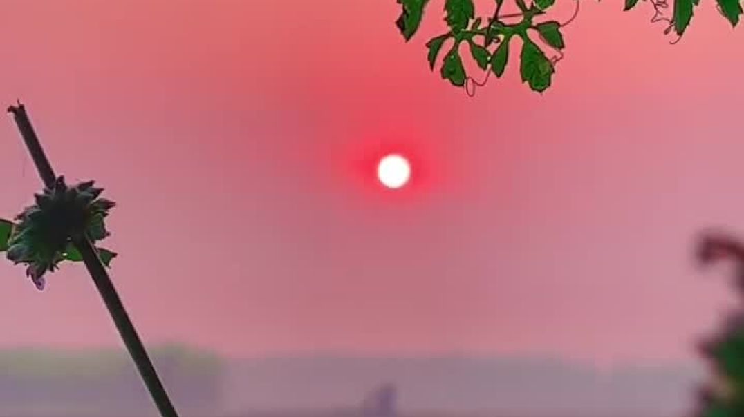 ⁣#nature love 💕💕# sad song Nature 💖💖