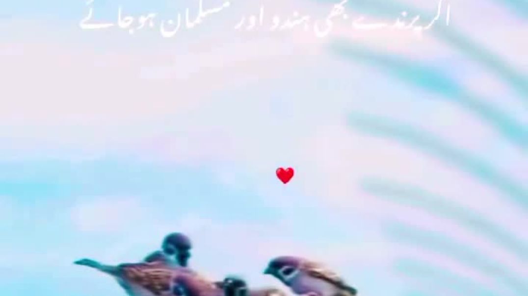 ⁣_storage_emulated_0_Android_data_com