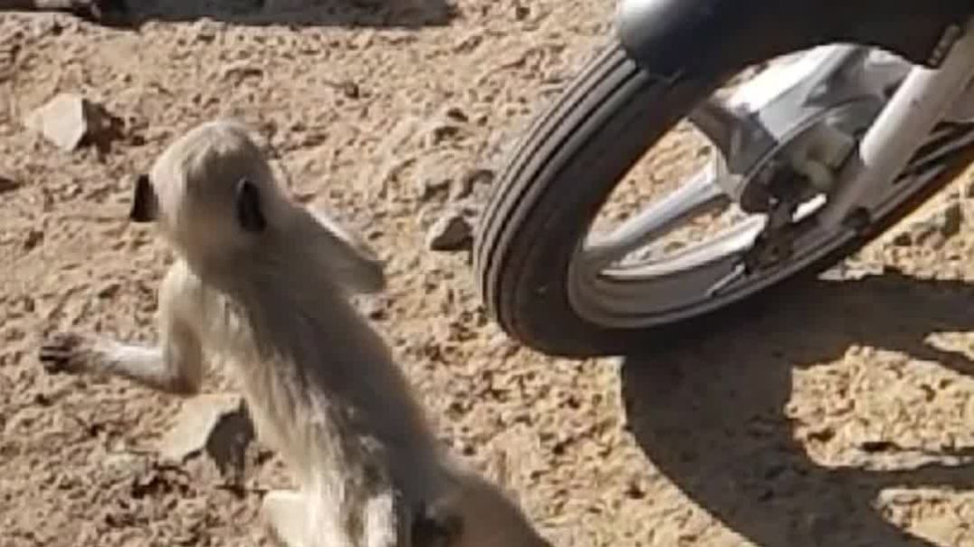 ⁣My youtube channel par past video upload