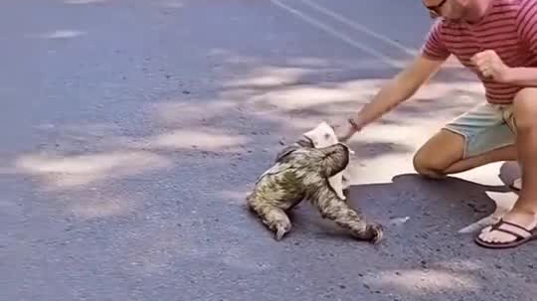 5rNdg4yDOeSdE0rn2pp8feNkRLNwl6fpobnJ