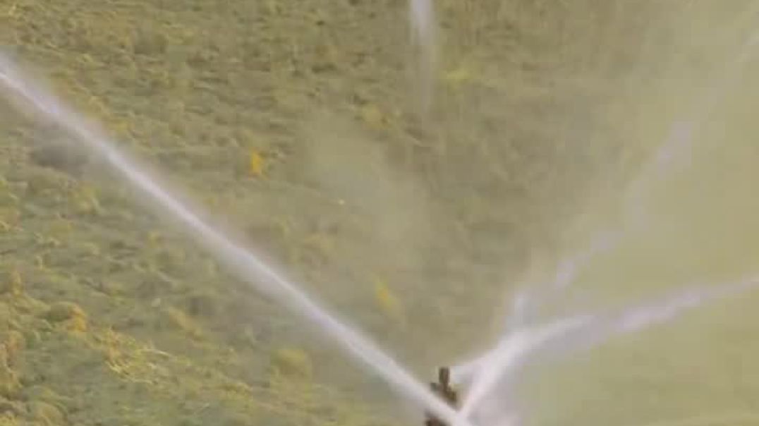 VID_20251204_062942_253