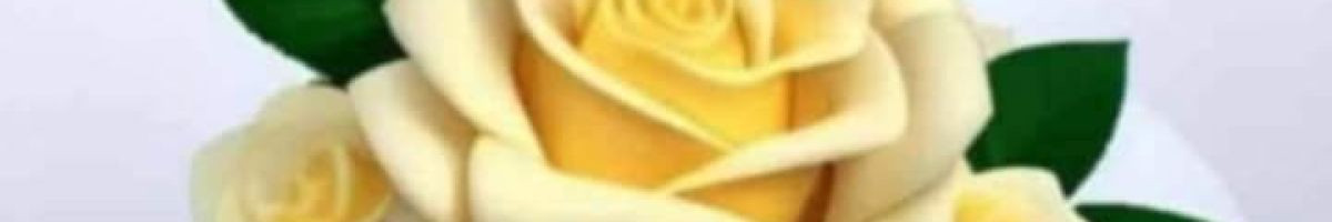 111614977699943184087 