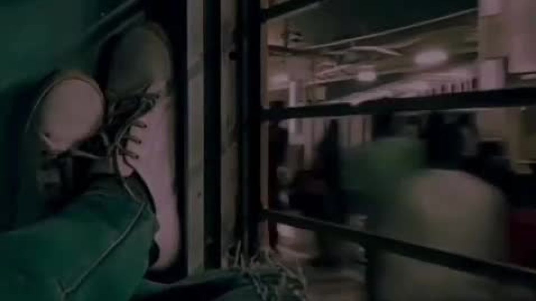 ⁣VID-20251212-WA0003