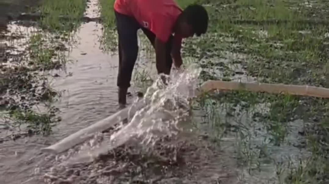 VID_20251214_052632_794