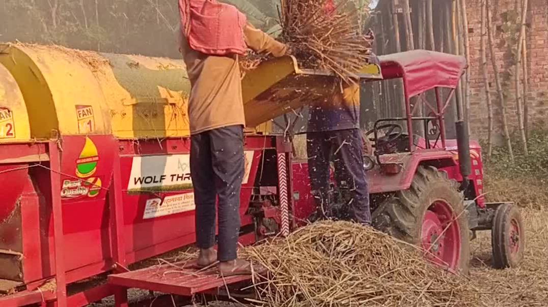 ⁣Kishan ki kheti 💗🥳