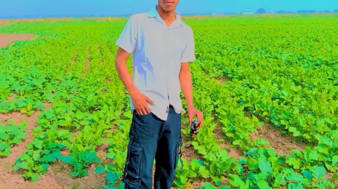 FB_VID_184251821132495687