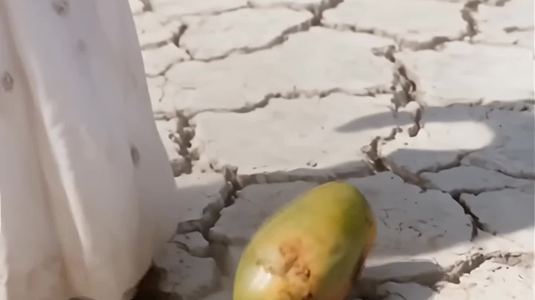 ⁣The elephant saved the mango tree from drying up by watering it 😭 _ai _tree _save _water(2K_60FPS)