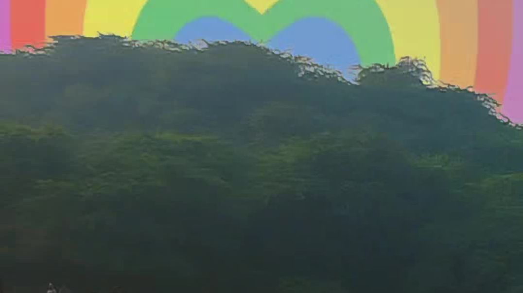 VID_20251113_212453_121