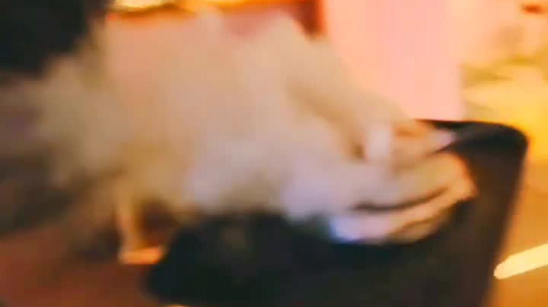 instagram_1765031051471