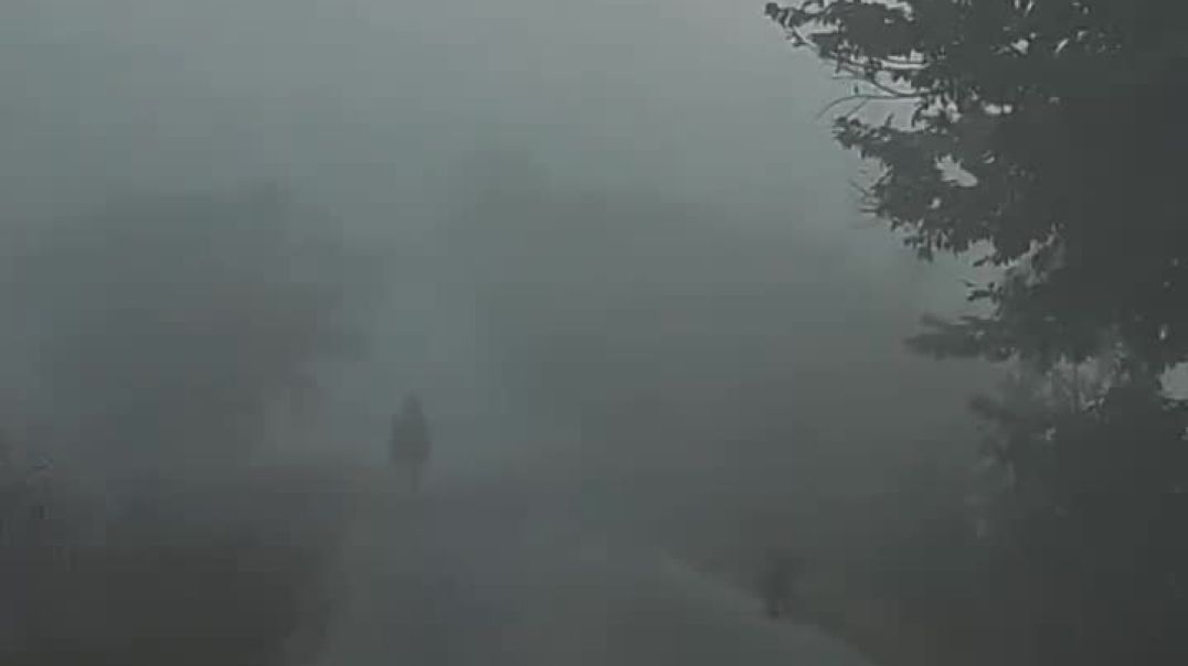 VID_20251204_110856_998