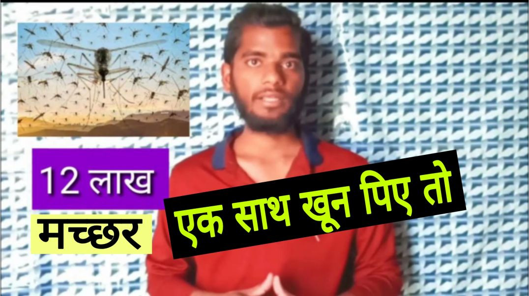 ⁣12 lakh machcar insaan per hamla kre to । mosquito vs human body || AC Prashant