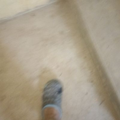 निषाद निषाद