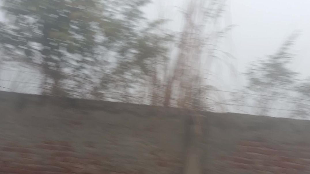 ⁣आज बहुत ज्यादा धुंध पड़ गई