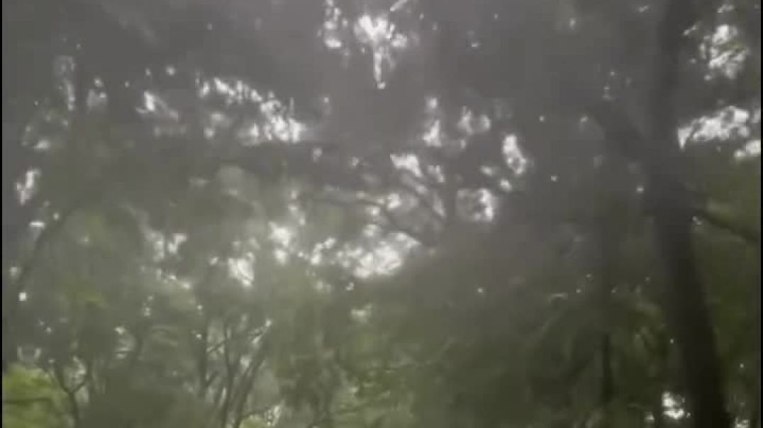 ⁣kumbar4014-20241029-0003