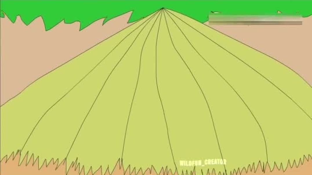 wildfun_creator-20251206-0001