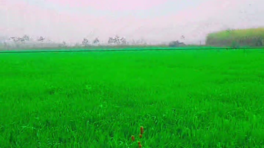 VID_20251225_212236_052