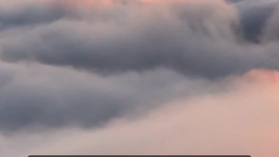 ⁣Nature love❤️ প্রকৃতির সৌন্দর্য #naturelove# training shorts # viral shorts