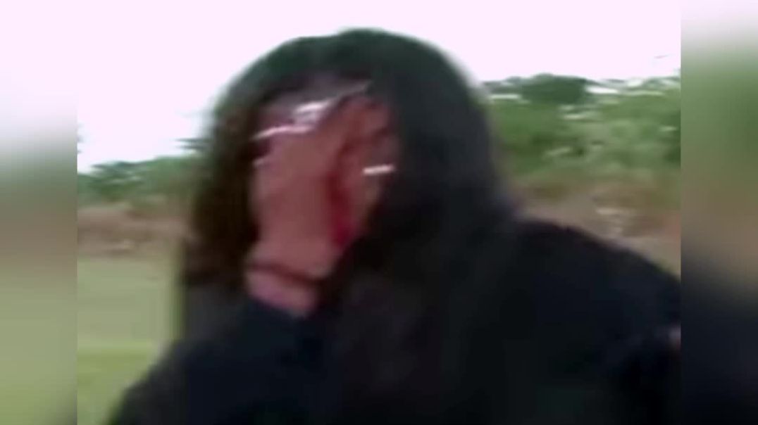 InShot_20251213_203225664