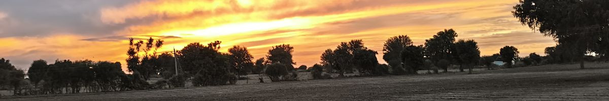 sk_balogger sk_balogger