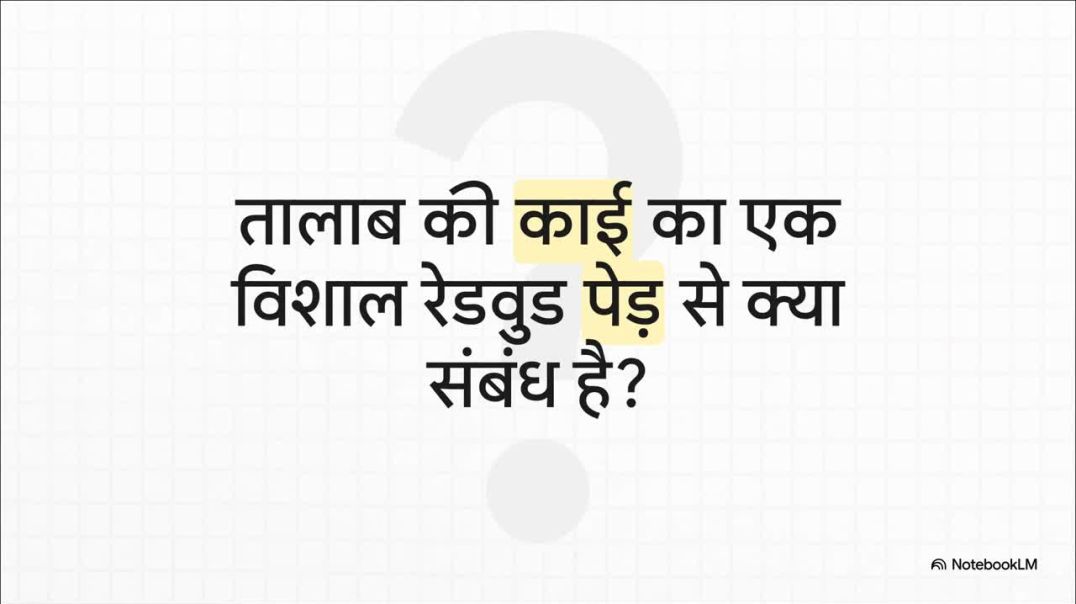 ⁣11th Biology Chapter 3 पादप_जगत__एक_विकासवादी_सीढ़ी