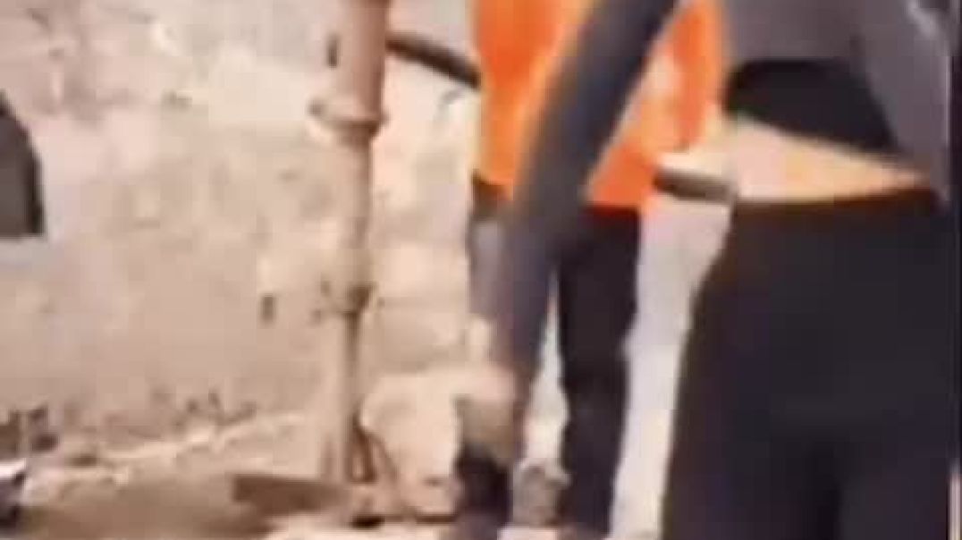 ⁣Aaj taradiya desi desi