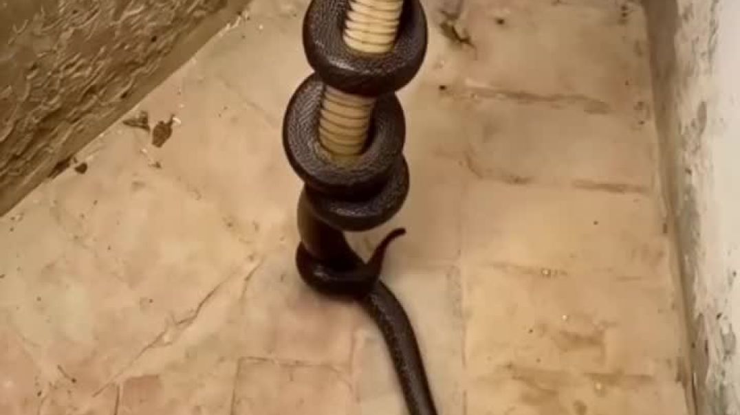 ⁣#reel #viral #trending