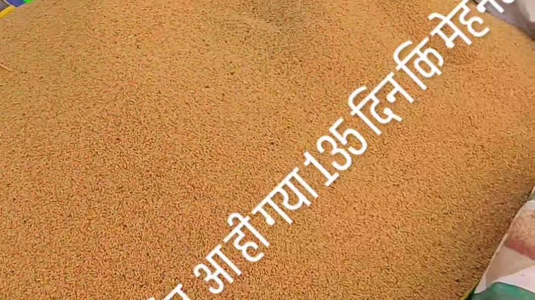 VID_20251112_024225_992