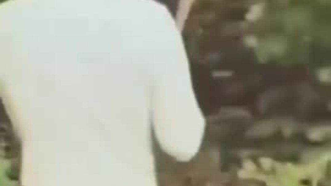 AQMTrxhpRJmly54Y5NmCgSvfYagmVWEq5JBskML03IbC_UtjbxtXwYt2z685SJZ2sJQzbXlUgxWIi6lpJUW9A8N5Fw3kgAAfp6A8