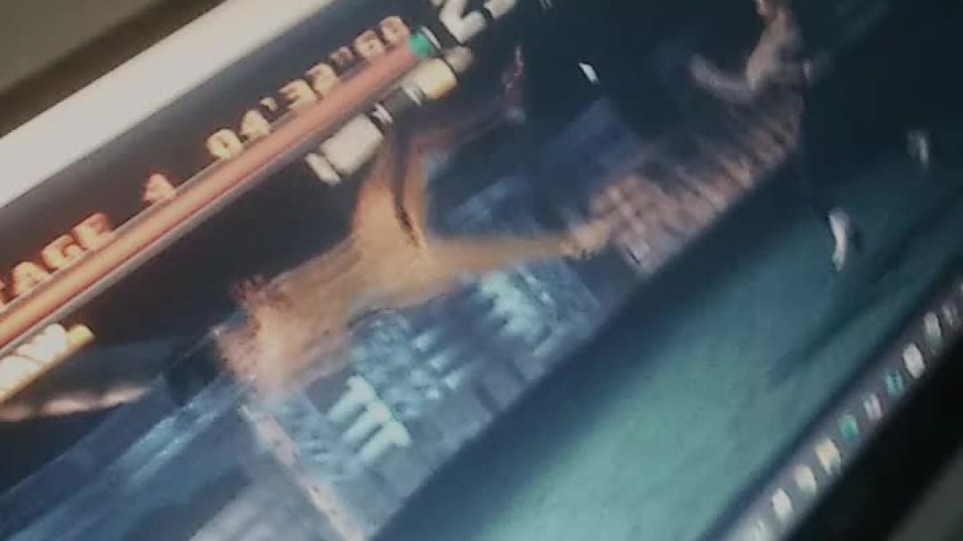 ⁣VID-20251122-WA0002